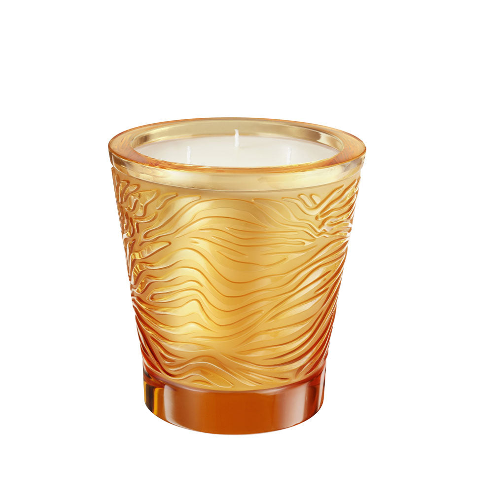 Jungle, Limited Edition Crystal Scented Candle ( 750gm )