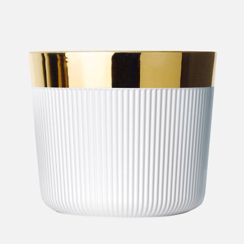 Champagne Goblet White, Stella