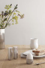 Bernadotte Salt and Pepper Shaker