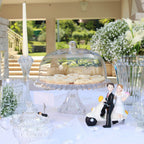 Crown Jewel Crystal Footed Platter with Dome 33cm – Clear