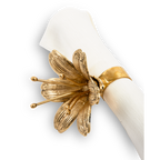 حامل مناديل ليلي