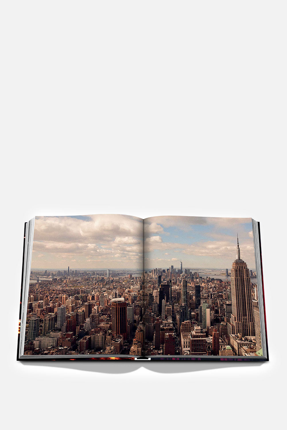 New York Chic Book