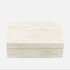 عظم الصندوق