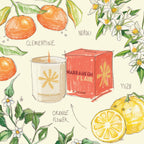Marrakech Flair Travel From Home Candle