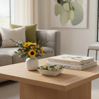 صندوق فيديو صغير من إيدن جاردن، 12×12 سم