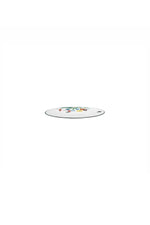 Jardin De Papillons Dinner Plate,  27cm