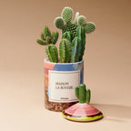 Maison La Bougie – Arizona Scented Candle (350g)