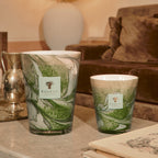 Leaves Marius 4-Wick Scented Candle, 500g