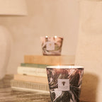 Manon 4-Wick Scented Candle, 500g