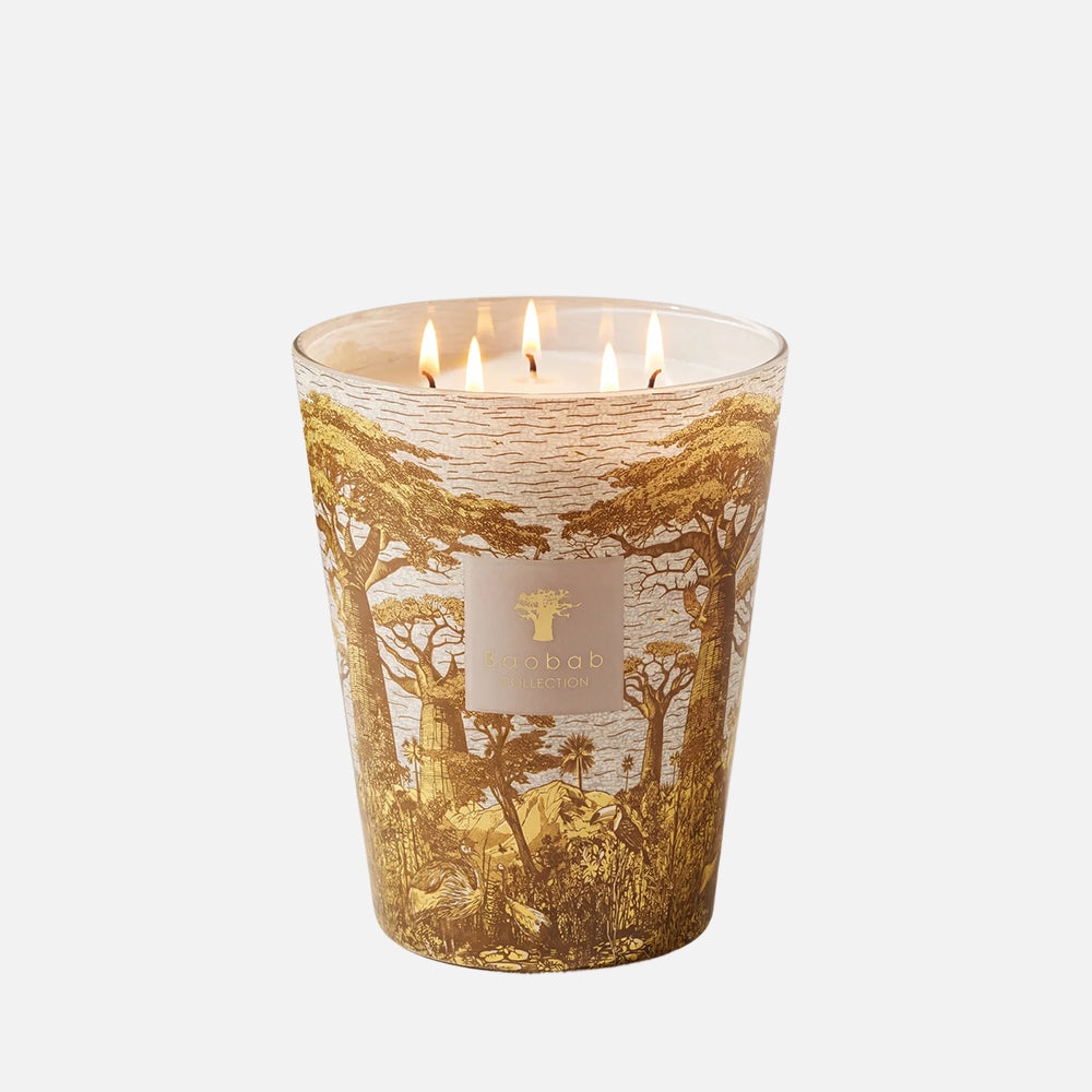 Sacred Trees Boukani 5-Wick Scented Candle, 3kg