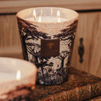 Baobab Collection Sacred Trees Mankono 4-wick scented candle in mouth-blown glass, 1.1kg, alternative angle (2)