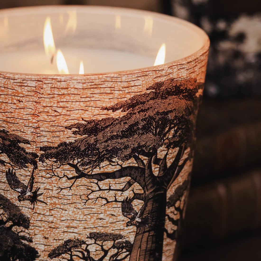 Baobab Collection Sacred Trees Mankono 4-wick scented candle in mouth-blown glass, 1.1kg, styled in a room setting