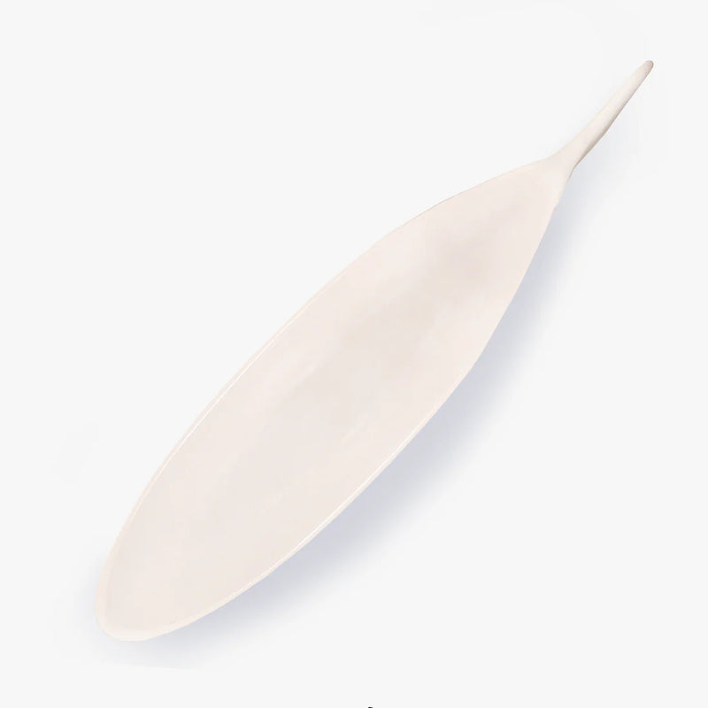 Shark Dish