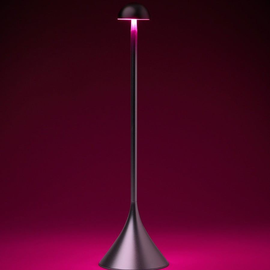 Steli Dome Portable LED Table lamp