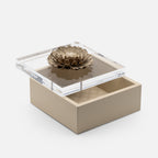 Fleur Dahlia Diamonds Square Box, Ivory, 17x17cm